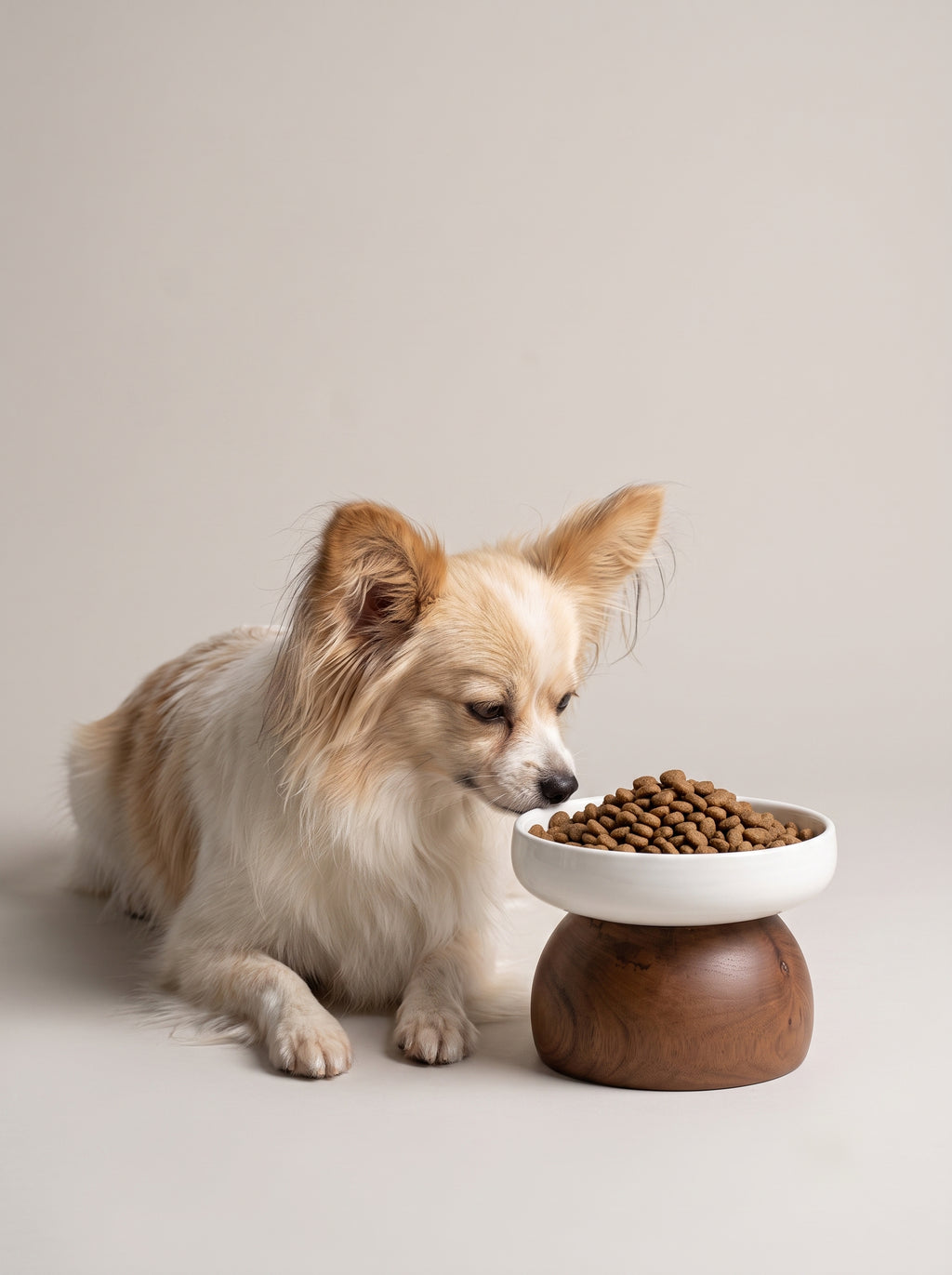 Isle Single Bowl Stand
